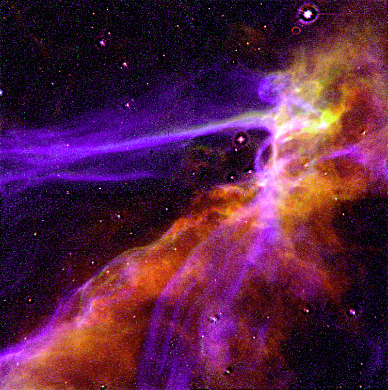 Illustration for article titled All the most amazing supernovas ever photographed